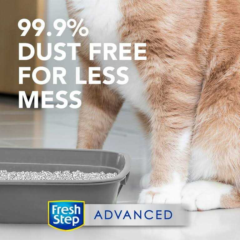 Unscented Clumping Cat Litter Q995513