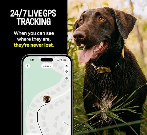 Pink Waterproof GPS Dog Collar with LED Light L34247