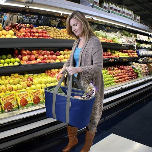30l Collapsible Tote G53883