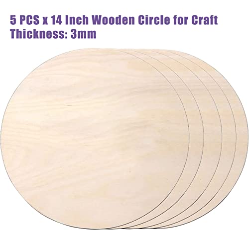 5PCS 14Inch 3 mm Thick Wood Circles D914
