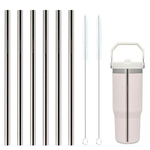 6 Pack Stainless Steel Straws with 2 Straw Cleaner Brushes D778