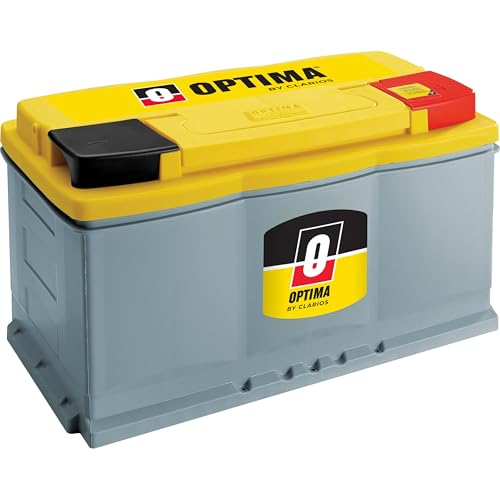 High Performance Sealed AGM Car Battery, 880 CCA, BCI Group Size 94R P6951
