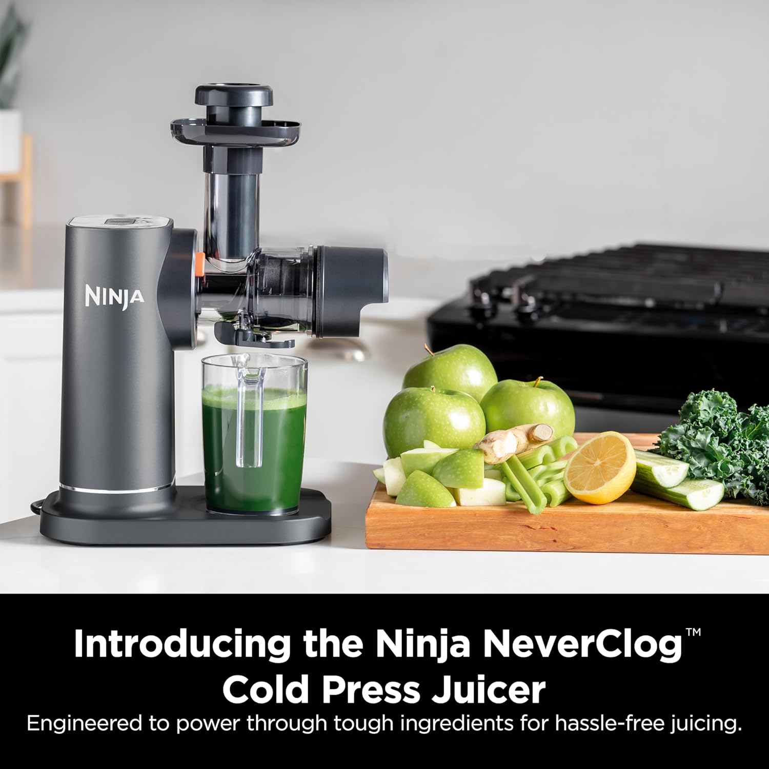 Charcoal Cold Press Juicer I541