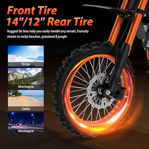 14"/12" Fat Tire 2000W Electric Dirt Bike with 48V 21AH Battery D9970