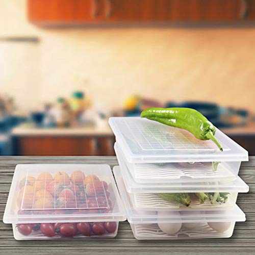 Plastic Food Storage Containers with Removable Drain Plate and Lid, Stackable (4, Large) Q22483