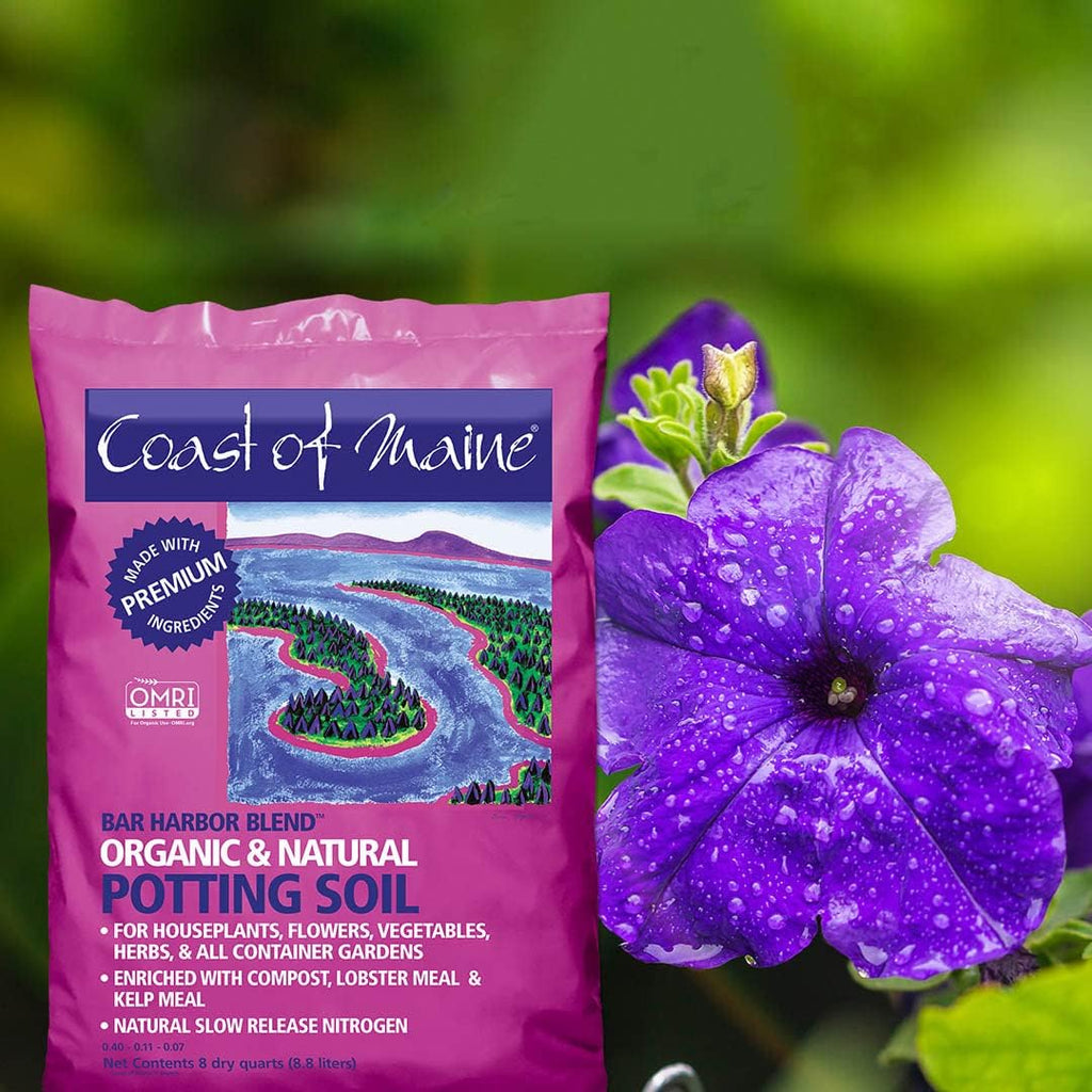 Organic Natural Potting Soil (8qt) O336