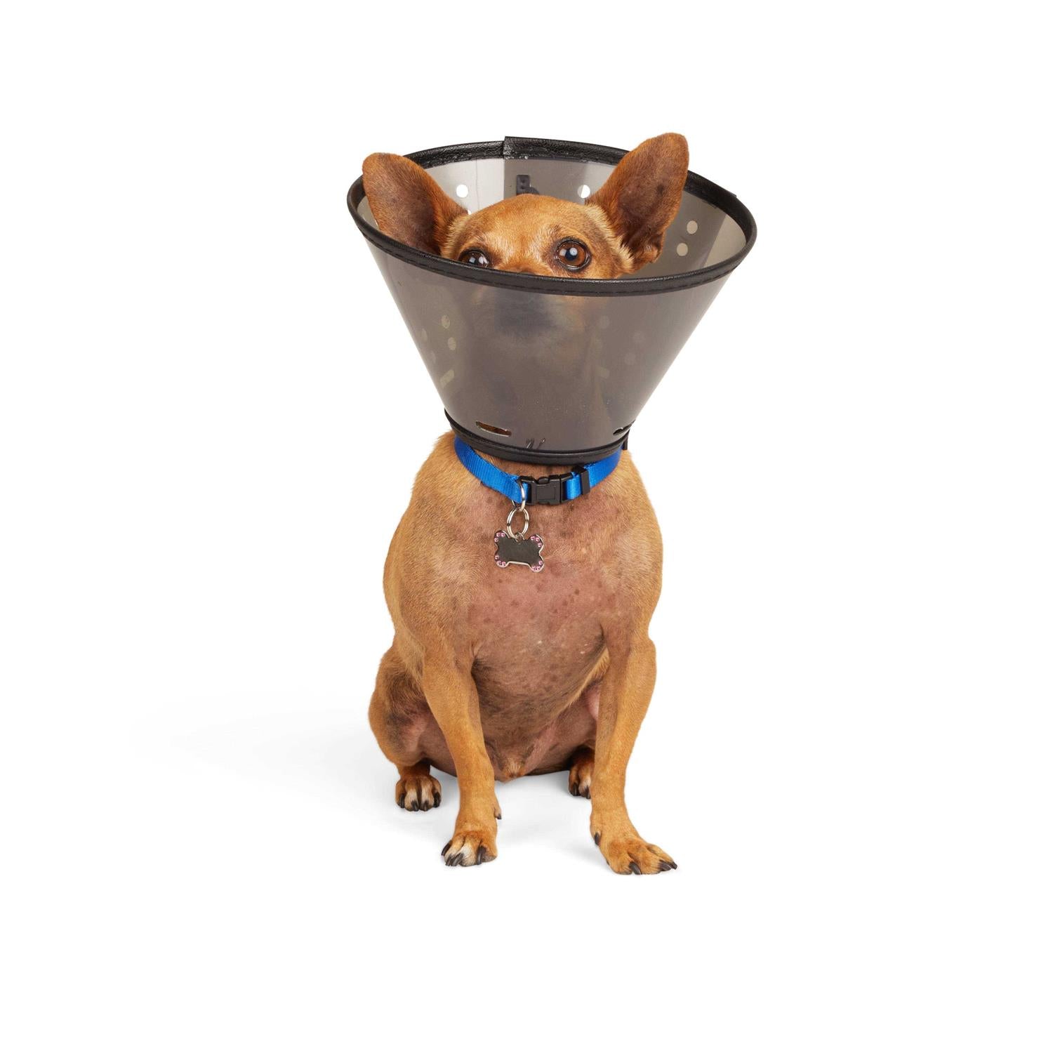 Recovery Cone Collar R696043