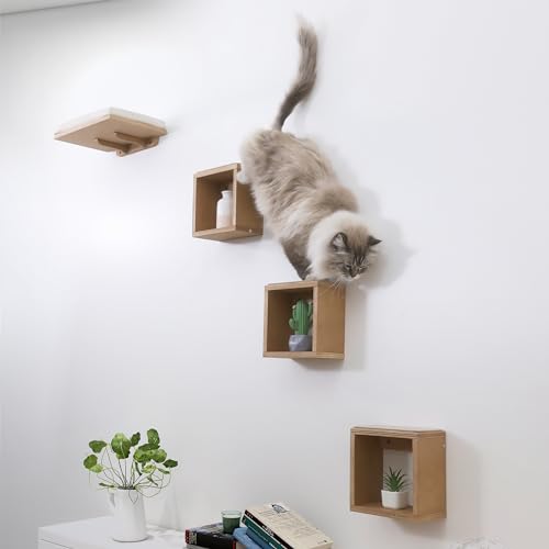 Set of 4 Cat Wall Shelves and Bed X9923