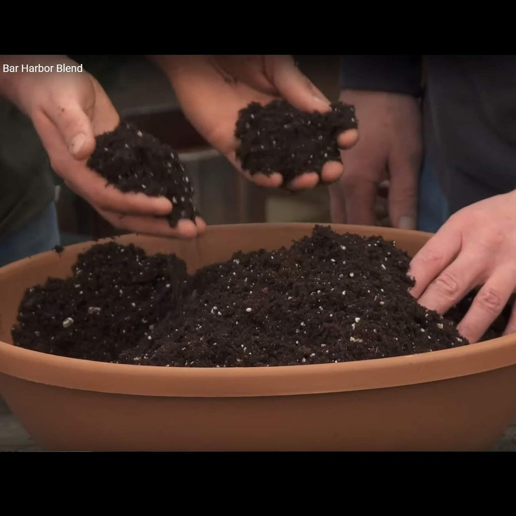 Organic Natural Potting Soil (8qt) O336