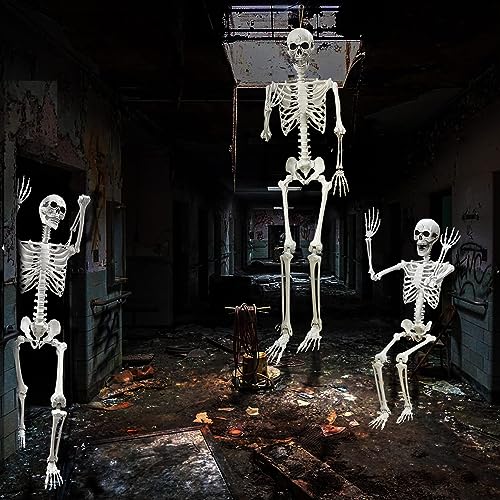 5.4Ft Halloween Life Size Human Skeleton with Movable Joints N86289