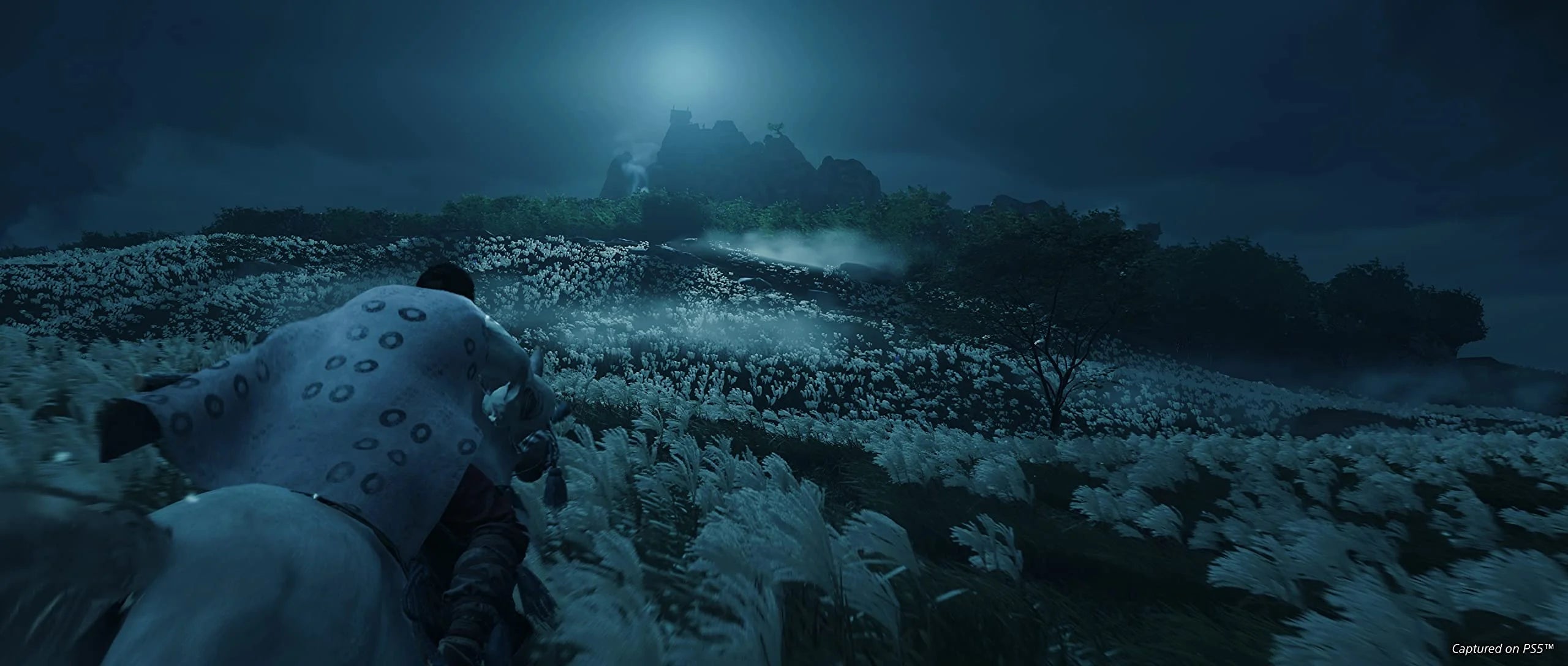 PlayStation 4 Director's Cut O635