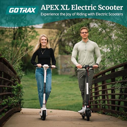 All Aluminum Electric Scooter N407719