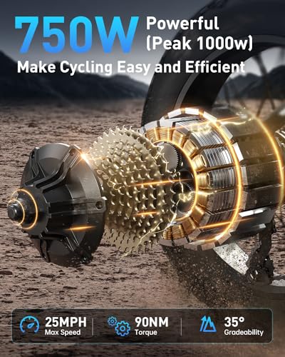 Electric Bike, Peak 1000W Motor, 48V 20Ah Battery, 20''×4.0'' Fat Tire Full Suspension, 28MPH, 80Miles Range, LCD Display, 7 Speed G971350