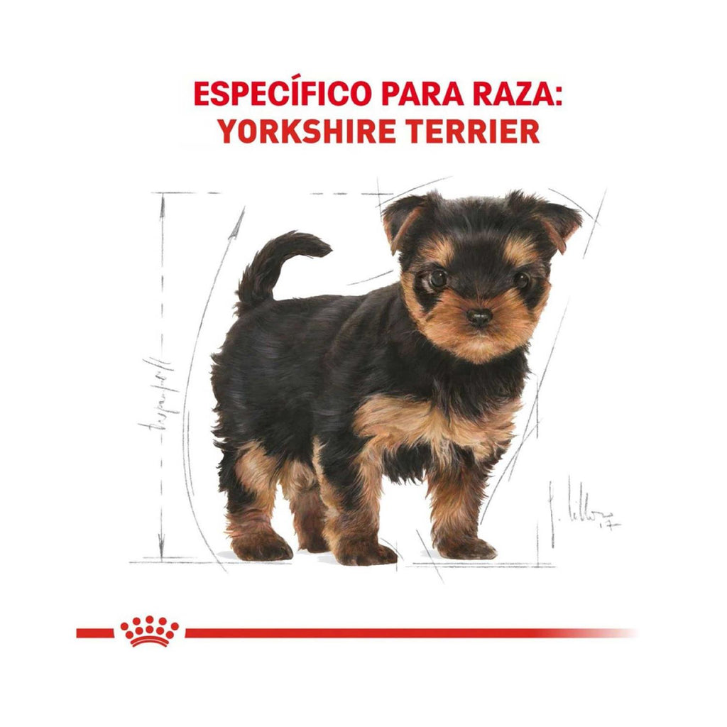 Yorkshire Terrier Puppy Dry Dog Food H1570