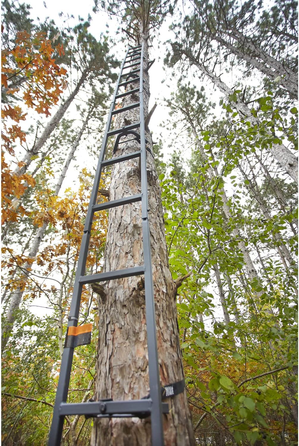 20’ Climbing Ladder E19645