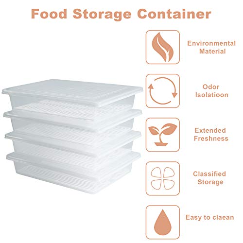 Plastic Food Storage Containers with Removable Drain Plate and Lid, Stackable (4, Large) Q22483