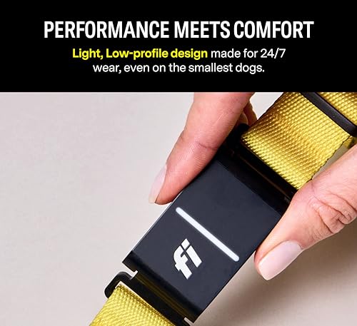Pink Waterproof GPS Dog Collar with LED Light L34247