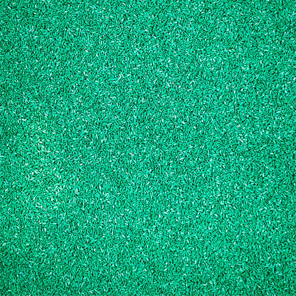 Sahara Bermudagrass Grass Seed, 5 lb. I60844