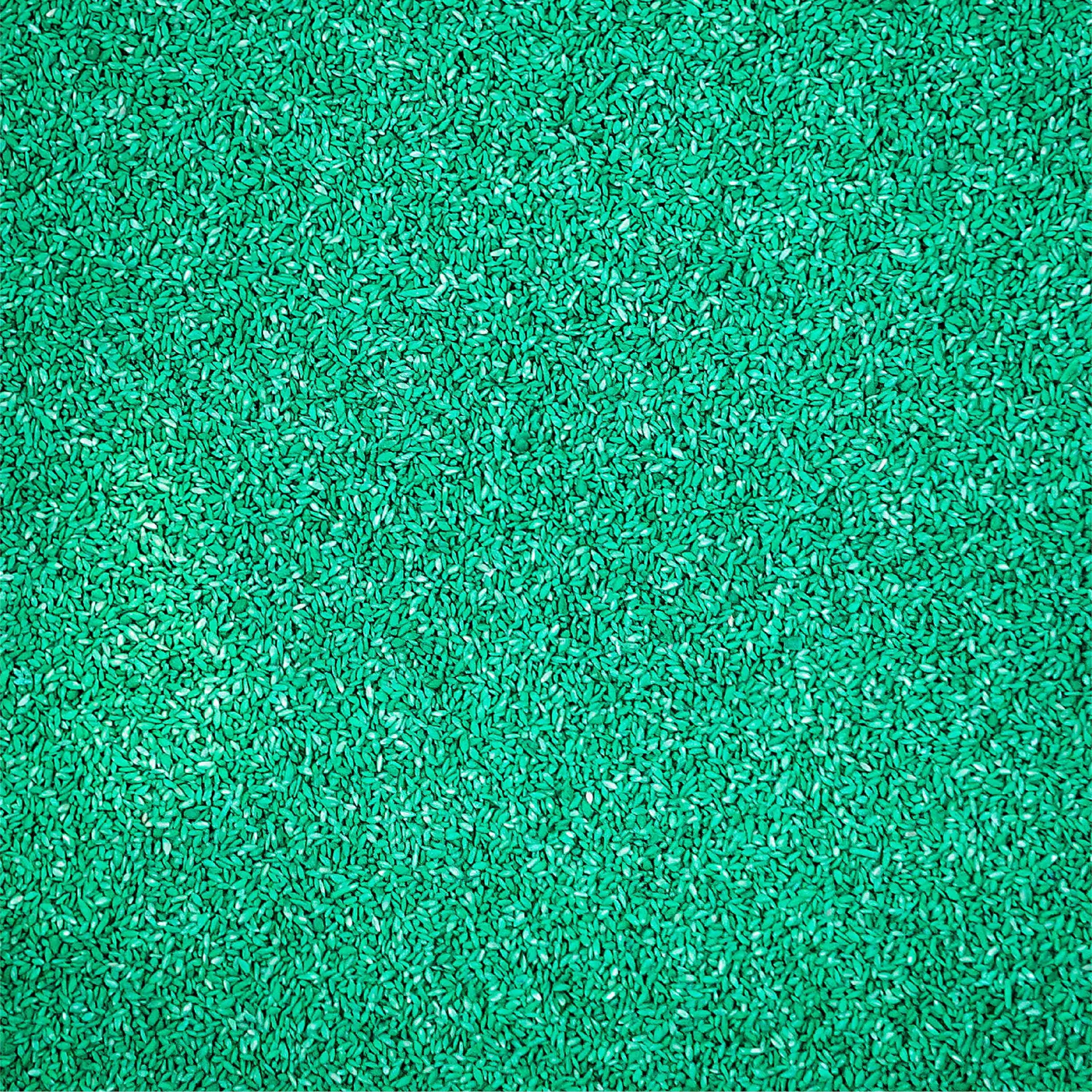 Sahara Bermudagrass Grass Seed, 5 lb. I60844