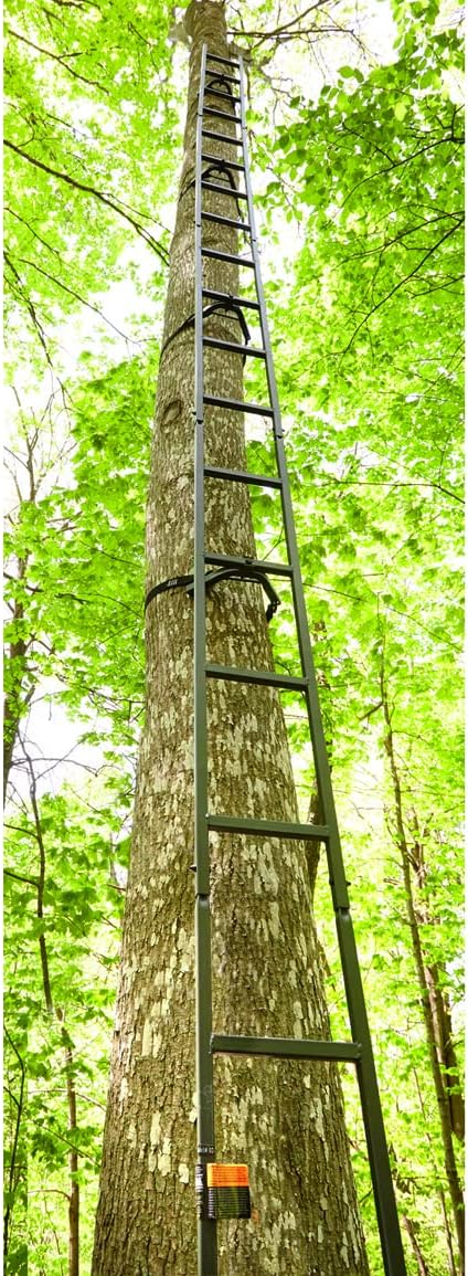 20’ Climbing Ladder E19645