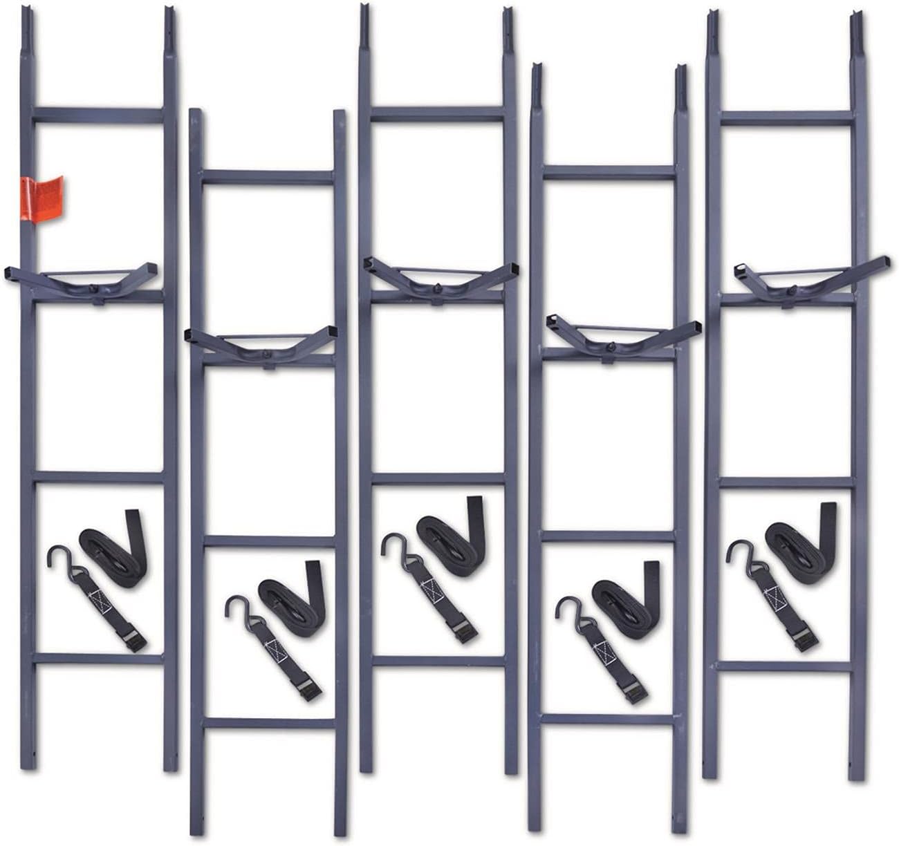 20’ Climbing Ladder E19645