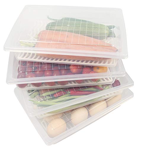 Plastic Food Storage Containers with Removable Drain Plate and Lid, Stackable (4, Large) Q22483