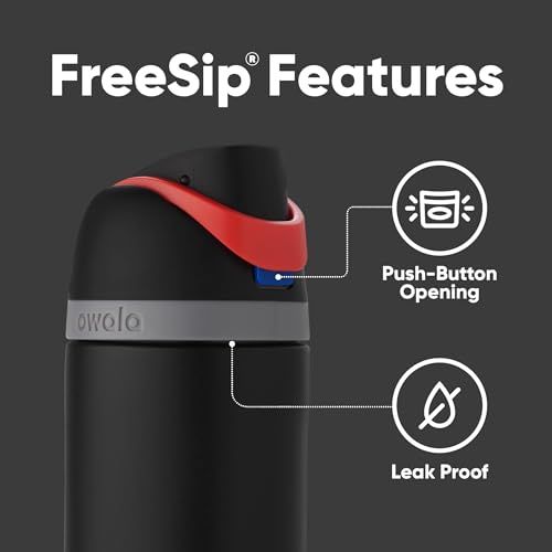 24 oz Insulated Stainless Steel Water Bottle with Straw D730