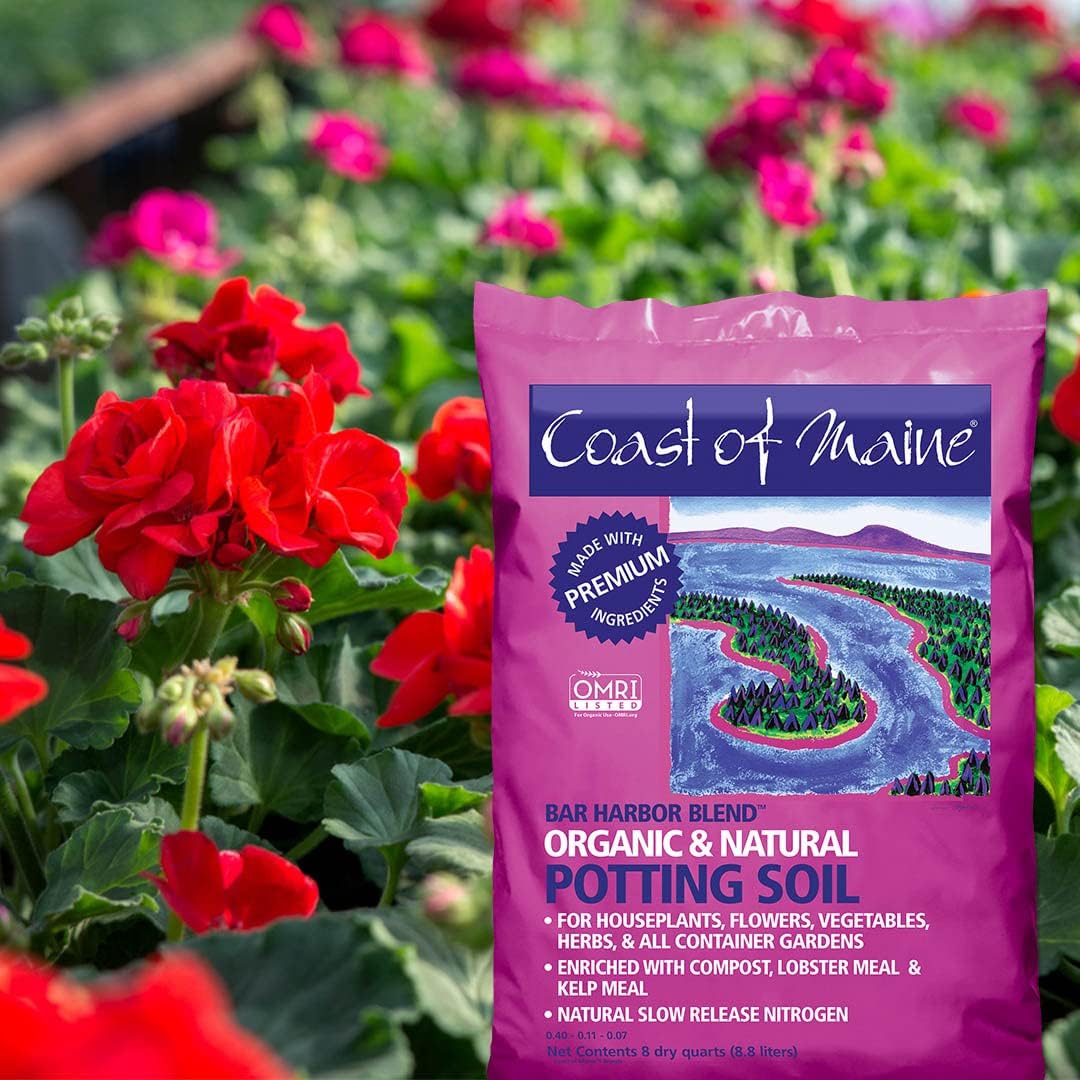 8qt Organic Natural Potting Soil T7459