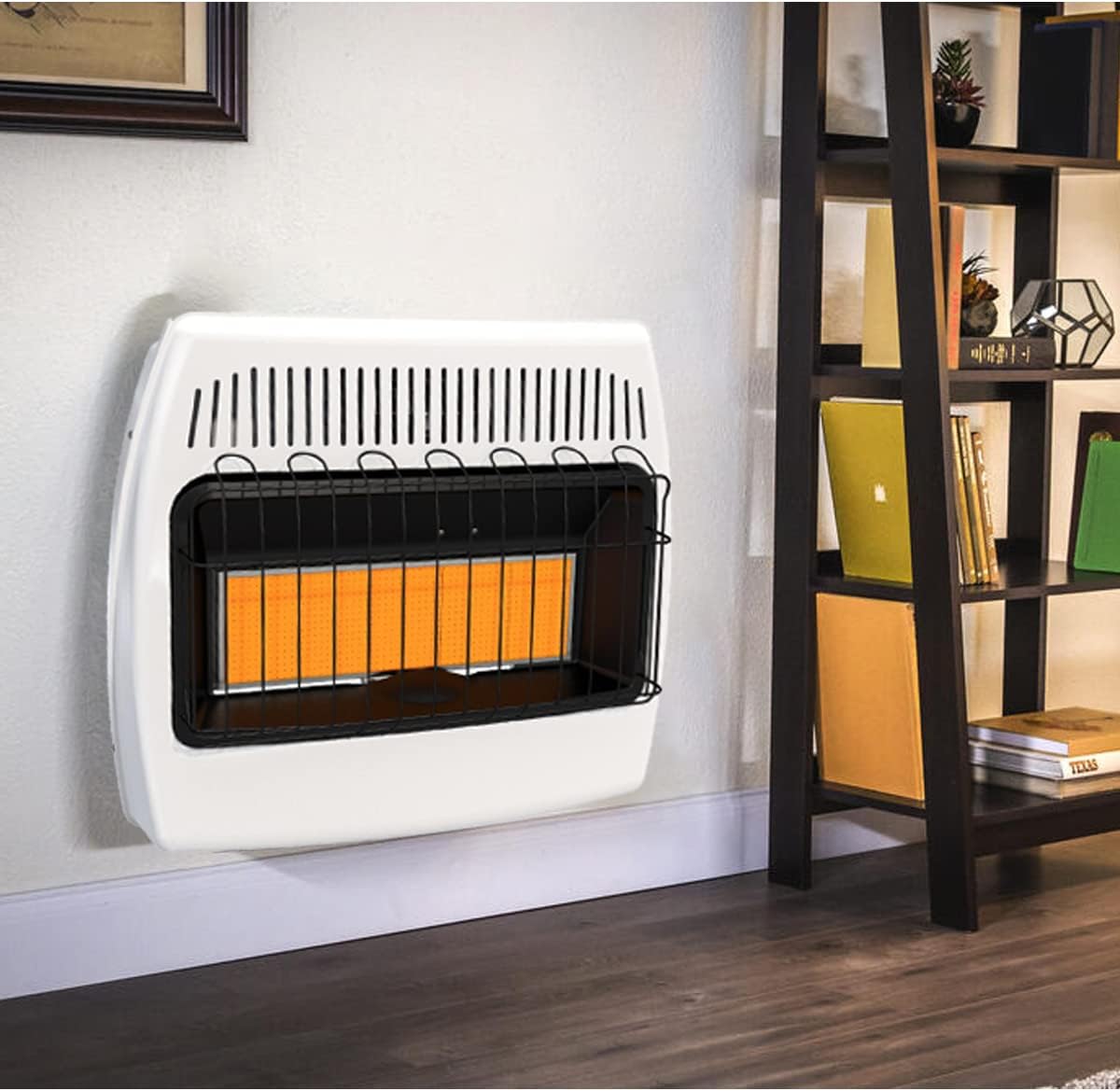 30,000 BTU Dual Fuel Natural Gas Propane Wall Heater S7783