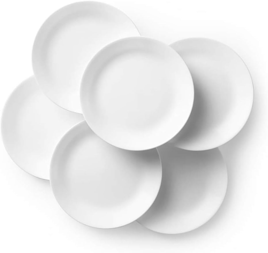 6-Piece White Dinner Plates Set T4448