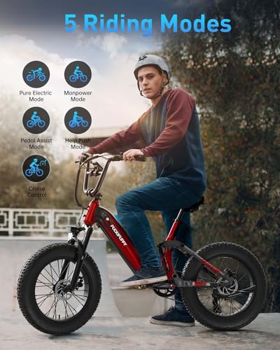 Electric Bike, Peak 1000W Motor, 48V 20Ah Battery, 20''×4.0'' Fat Tire Full Suspension, 28MPH, 80Miles Range, LCD Display, 7 Speed G971350