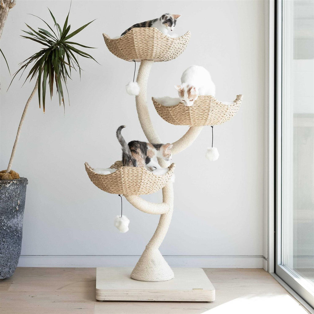 3 Modern Cat Tree O865599