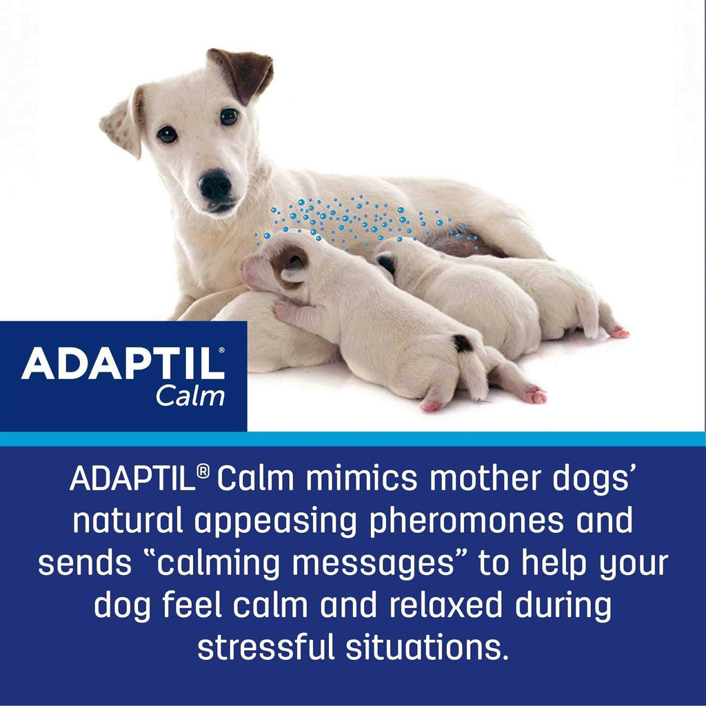 Calming Collar for Dogs O5473