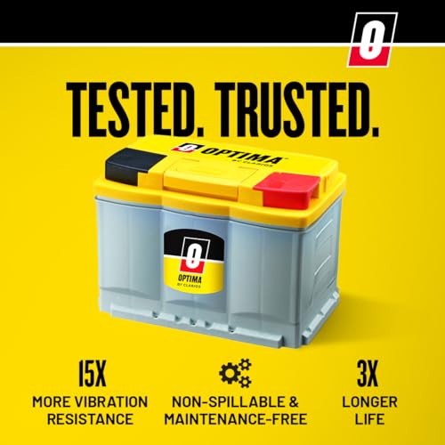 High Performance Sealed AGM Car Battery, 880 CCA, BCI Group Size 94R P6951