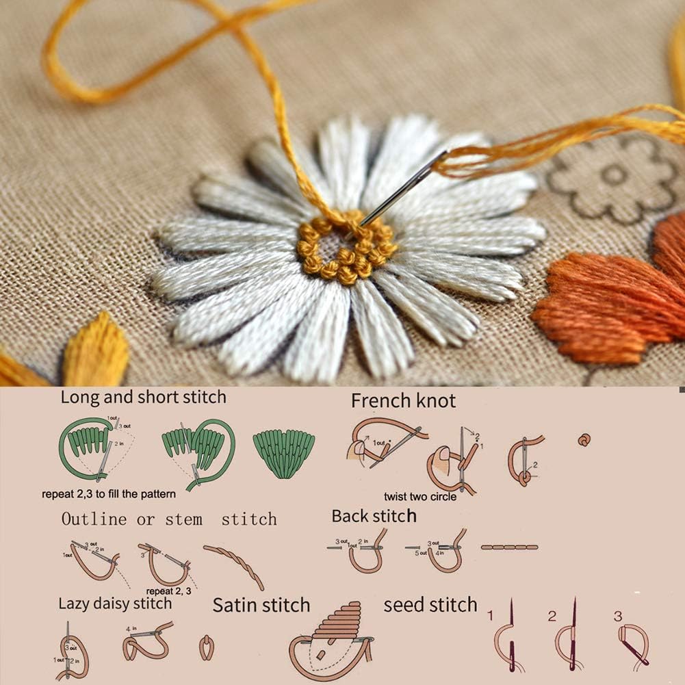 Embroidery Starter Kit with Pattern, Instruction Book, Thread, Needle, 1 Hoop X132069