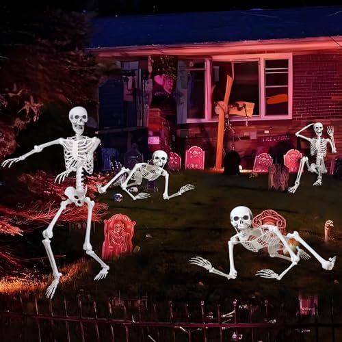 5.4Ft Halloween Life Size Human Skeleton with Movable Joints N86289