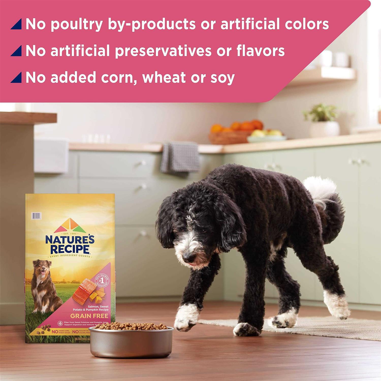 Grain Free Dry Dog Food F924964