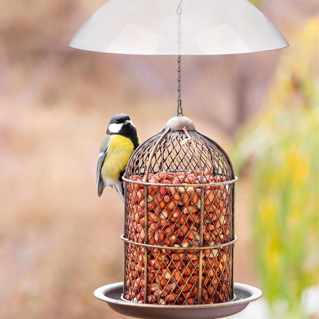 2 Pcs Clear Squirrel Baffle Bird Feeder Protective Dome with Chains N549689