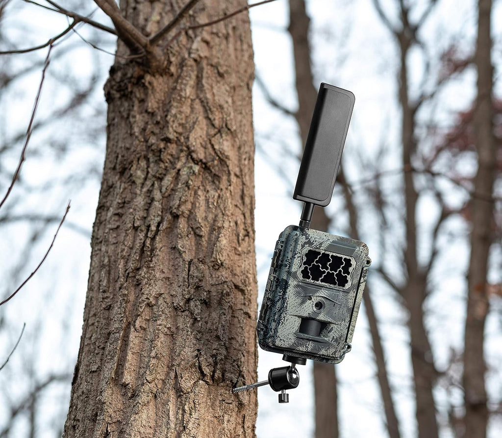 4G LTE Wireless Trail Camera with Mount R800868