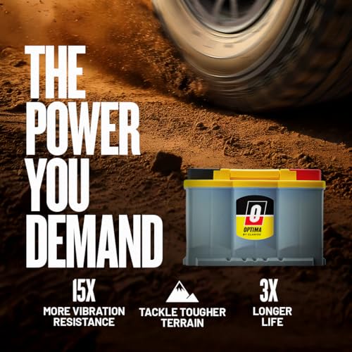 High Performance Sealed AGM Car Battery, 880 CCA, BCI Group Size 94R P6951