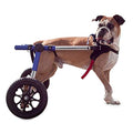 Dog Wheelchair for Large Dogs 70-180 Pounds A9749