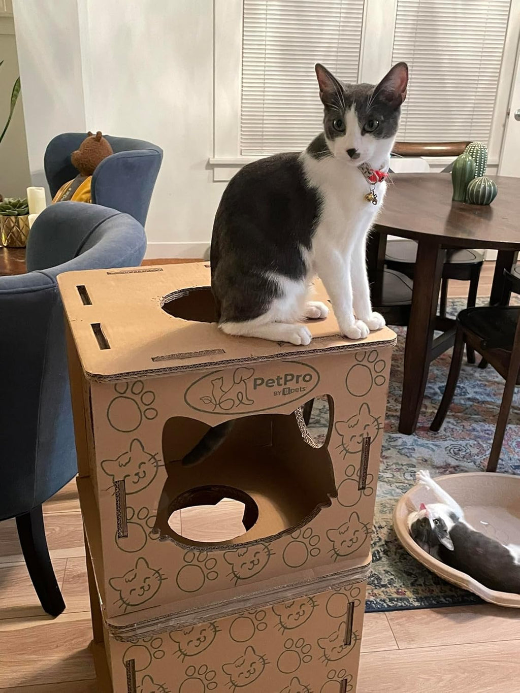 Corrugated Cardboard Cat Scratcher House Y31830