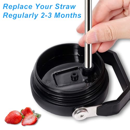 6 Pack Stainless Steel Straws with 2 Straw Cleaner Brushes D778