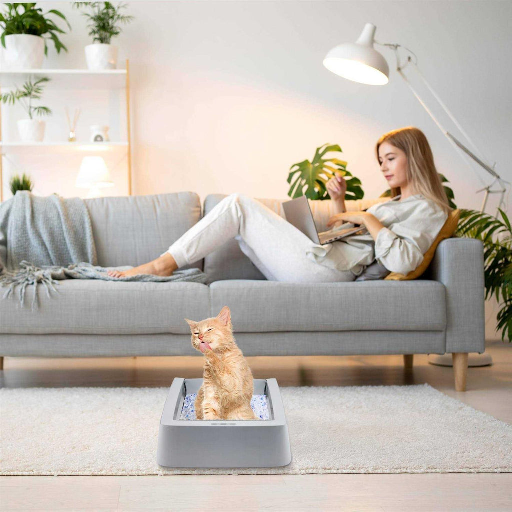 Stainless Steel Reusable Litter Tray P32446