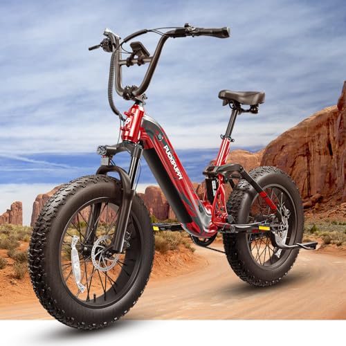 Electric Bike, Peak 1000W Motor, 48V 20Ah Battery, 20''×4.0'' Fat Tire Full Suspension, 28MPH, 80Miles Range, LCD Display, 7 Speed G971350