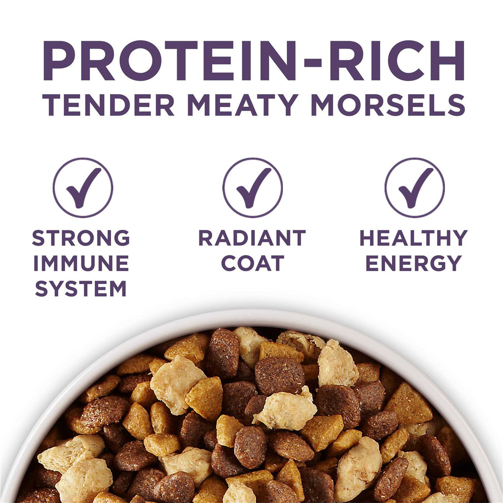 Adult Dry Dog Food Senior A123
