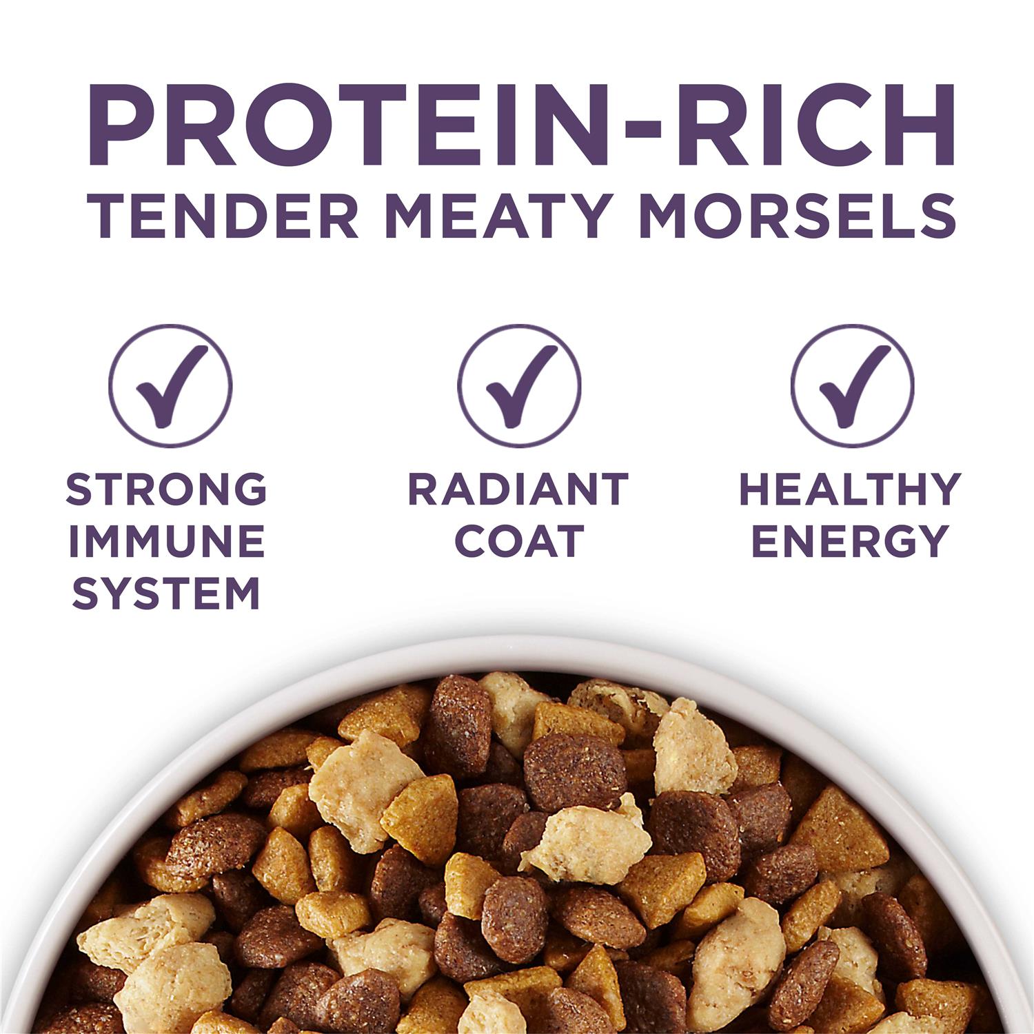Adult Dry Dog Food Senior A123