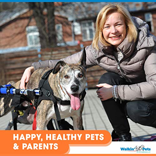 Dog Wheelchair for Large Dogs 70-180 Pounds A9749