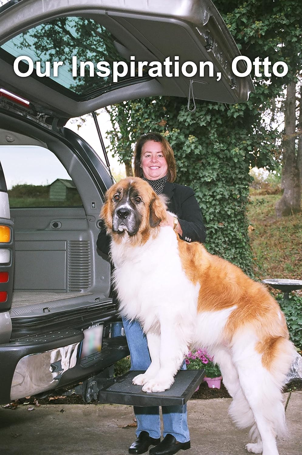 Pet Ramp C2176