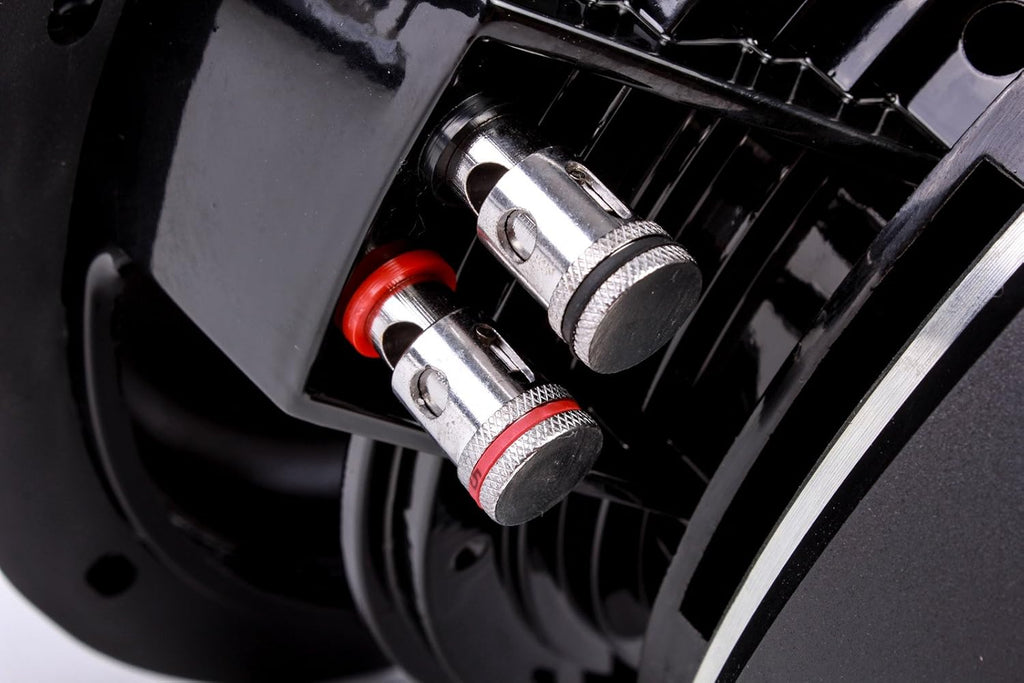 12" Dual 2 Ohm Car Subwoofer Y8424